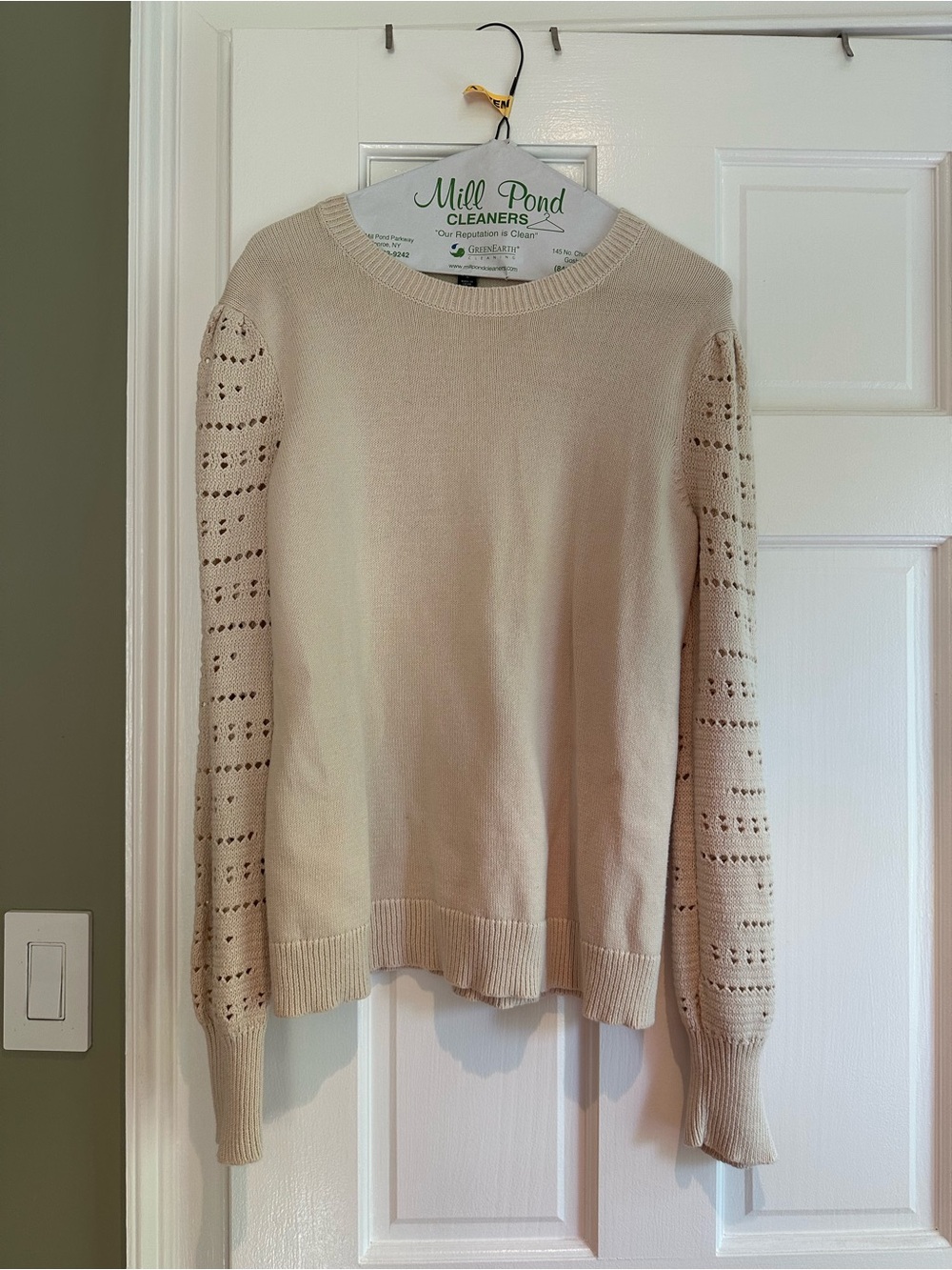 Ann Taylor Cream Crewneck Sweater with Eyelet Sleeves